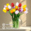 10 Multicolor Real-Touch Artificial Tulips 4