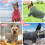 4-Pack Knitted Dog Sweaters for Small & Medium Dogs 3