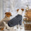 4-Pack Knitted Dog Sweaters for Small & Medium Dogs 5