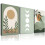 Sage Green Boho Canvas Art Set – 3pcs 12x16in 1