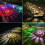 Solar Pathway Lights 6 Pack – Dual Mode LED, Waterproof 2