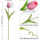 Pink Artificial Tulips 10pcs Real-Touch PU Flowers 2