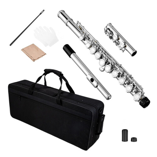 Professional Brasses Flute 16 Keys C Key Closed Hole Silver