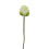 Artificial Lotus Flower Stem – White Silk Water Lily, 1 pc 1