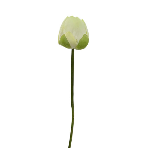 Artificial Lotus Flower Stem – White Silk Water Lily, 1 pc