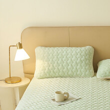 Green Milk Velvet Pillowcase 48x74cm
