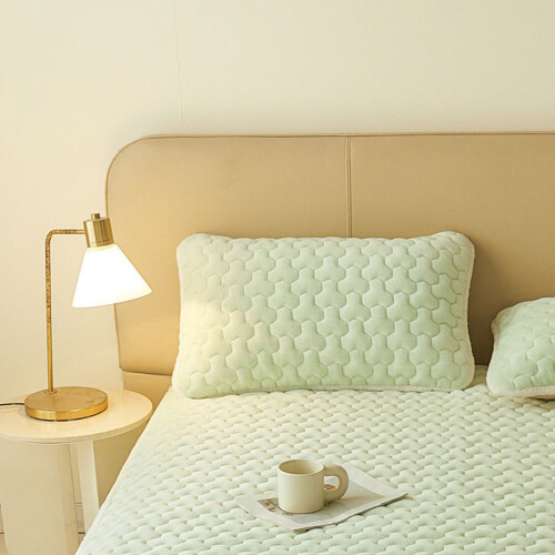 Green Milk Velvet Pillowcase 48x74cm