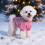 Knitted Dog Pullover Sweater Soft Thermal Winter Coat for 1