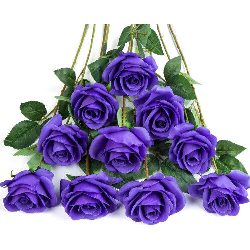 Black Silk Roses – 12 pcs, 21.2 in Long Stem