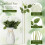 20 Black Silk Roses with Long Stems – Artificial Flowers 2