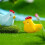 12pcs Mini Chicken Resin Figurines for Micro Gardens 5