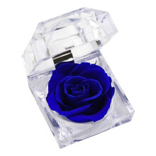 Stylish Acrylic Rose Jewelry Box Enhancing Room Decoration-Blue