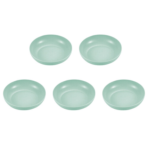 Ceramic-Style Plastic Dinner Plates Set of 5 1