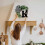Ghirlanda per porta d'ingresso in stile rustico, 30 cm, con cognome 3