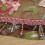 Floral Voile Sheer Curtain Panel 100x200cm 4