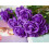 Black Silk Roses – 12 pcs, 21.2 in Long Stem 4