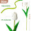 10 Multicolor Real-Touch Artificial Tulips 2