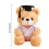 Graduation Bear Plush 9 inch Class of 2025 3