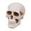 Fireproof Ceramic Skull Decor for Fire Pits & Fireplaces 2
