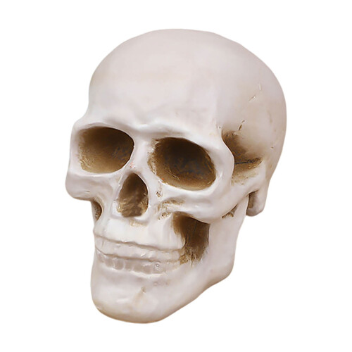 Fireproof Ceramic Skull Decor for Fire Pits & Fireplaces 1