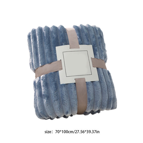 Double Layer Raschel Fleece Blanket Light Blue 70x100cm 1