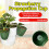 Breathable Strawberry Propagation Cups Includes Runner Fork-L 5 2