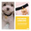 De Collier Pour Animaux Or Noir Polyester Avec Grelots 5