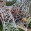 Stretchy Spider Web Halloween Decoration 110x220cm 2