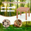 18" Square Eucalyptus Outdoor Side Table 3