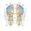 Impressão artística do mapa de reflexologia podal por Peter Gardiner, 45,7 x 61 cm (18 x 24 polegadas) 1