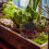 Mini harpikspagodeornament til bonsai og akvarium 4