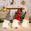LED Lighted Plush Gnome Decoration 30cm 5