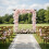 Artificial Cherry Blossom Rattan Garland 180cm 5