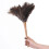 Ostrich Feather Duster with Wooden Handle 42 cm 3