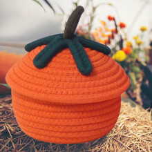 Pumpkin Cotton Rope Basket with Lid – 7.8 x 6.4 in