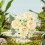 Mixed Flower Bouquet Small 4