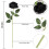 10pcs Realistic Silk Black Roses with Flexible Stems 2