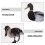 Acrylic Duck Garden Stake Set – 6 Pack 4