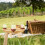 Picknicktisch aus Holz, hellgelb, 1 Set 2