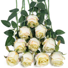 10pcs Black Artificial Silk Roses with Long Stems