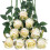 10pcs Black Artificial Silk Roses with Long Stems 1