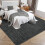 Black Modern Abstract Area Rug 5x7 Non-Slip 1