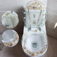 Abattant de toilette en résine, forme ovale coquillage, transparent, type UV