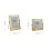 Double Glass Pressed Flower Photo Frame 6 inch 3