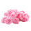Rozenbloem lichtslinger, USB-voeding, 20 LED's 7