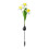 3-Head Daffodil Solar Garden Stake Lights 2