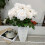Black Artificial Roses – 12 pcs, 10 cm diameter 5