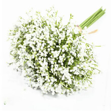 12-Piece Artificial Baby's Breath Flowers – White