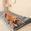 Plush Dog Bed – Thickened Polyester Mat for Small to 2