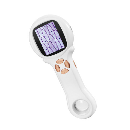 Children 500X Microscope with LED Light Portable ABS-White